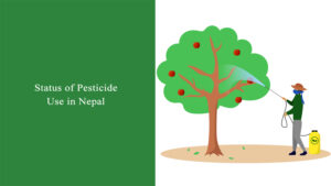 Status of Pesticide Use in Nepal